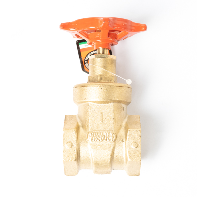 GI GATE VALVE 1&quot;