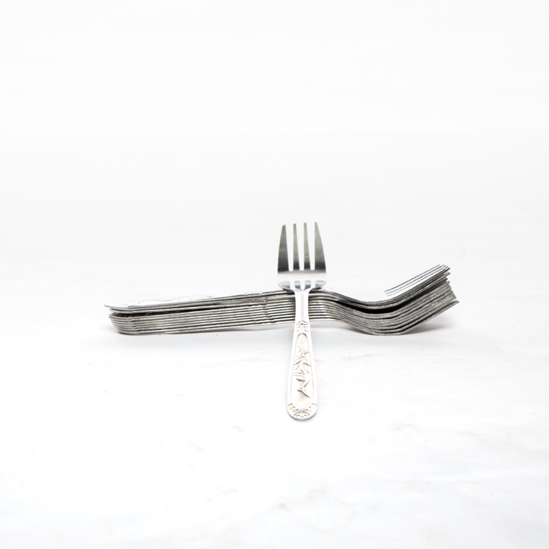 Stainless Steel Fork Dozen (Home)